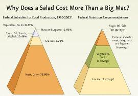 Agriculutural subsidies working against the health of America???